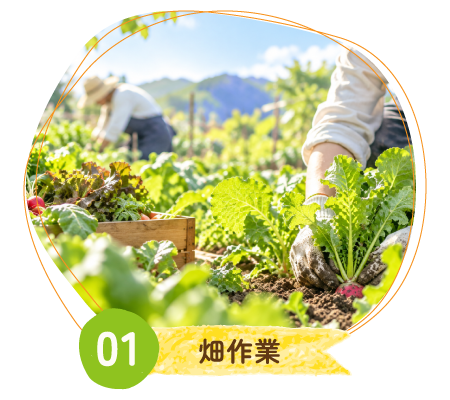 01 畑作業