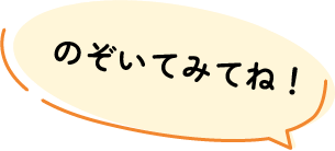 のぞいてみてね！